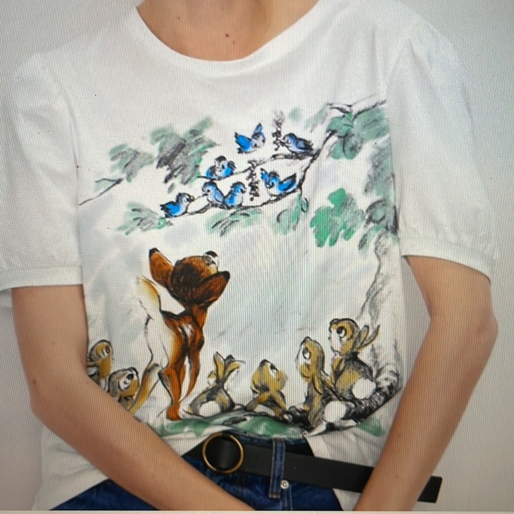 Zara Bambi and friends Disney Tee